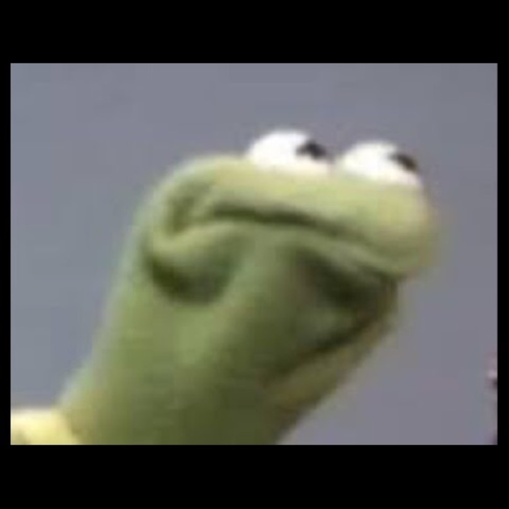 Meet your Posher, Lexi